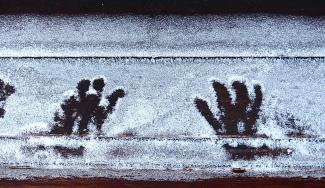 Child's fingerprints in snow