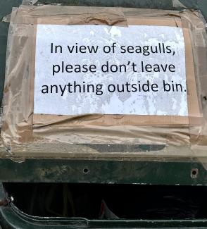 Home-made sign on communal bin reading: 'In view of seagulls, please don't leave anything outside bin.'