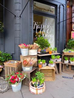 Spring flower display outside Narcissus on Broughton Street.