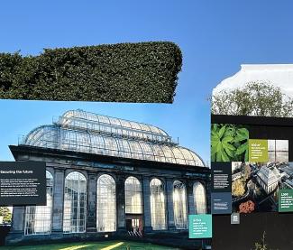 Information barrier obscuring view of hedge and glasshouse behind it.