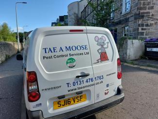White van with 'Tae a Moose' logo