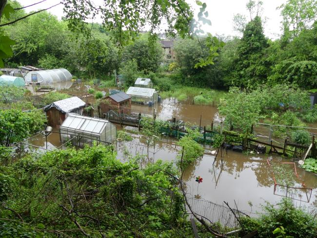 Flooded allotments.