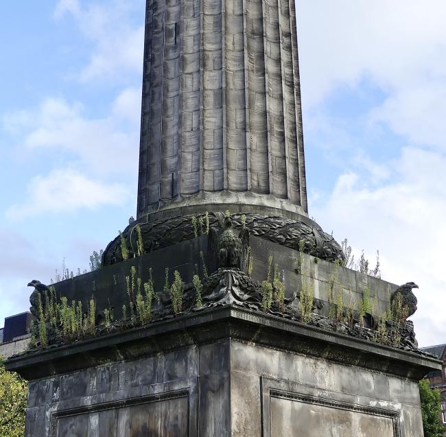 weeds on plinth of monument