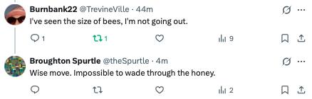 bees